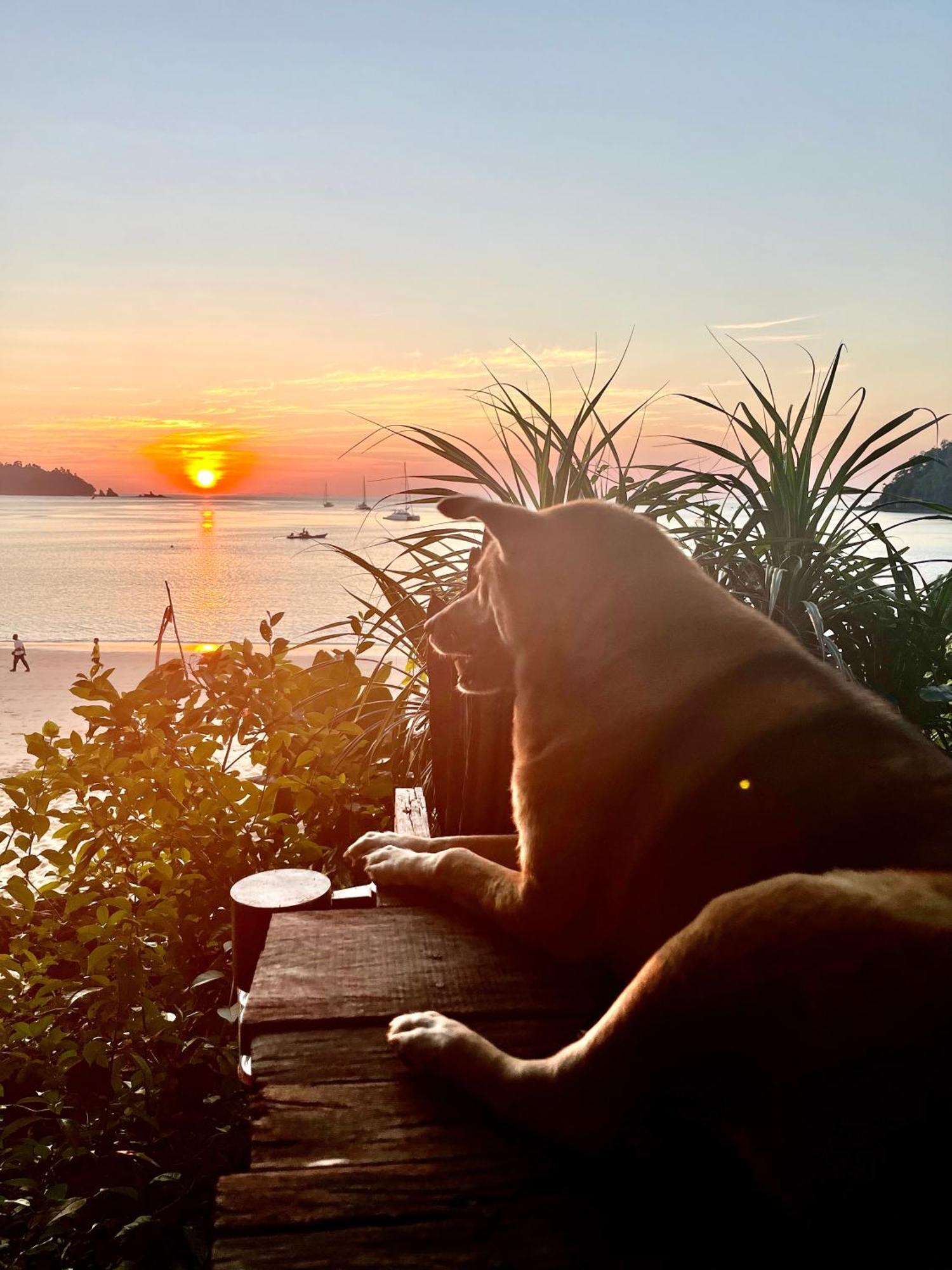 Starlight Beach Resort パヤム島 エクステリア 写真